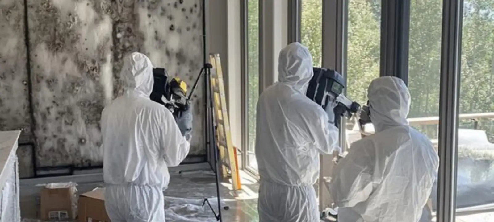 Inspection crew documenting a room after mold remediation